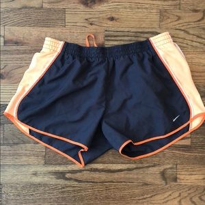 Nike Dri-Fit Shorts-Large